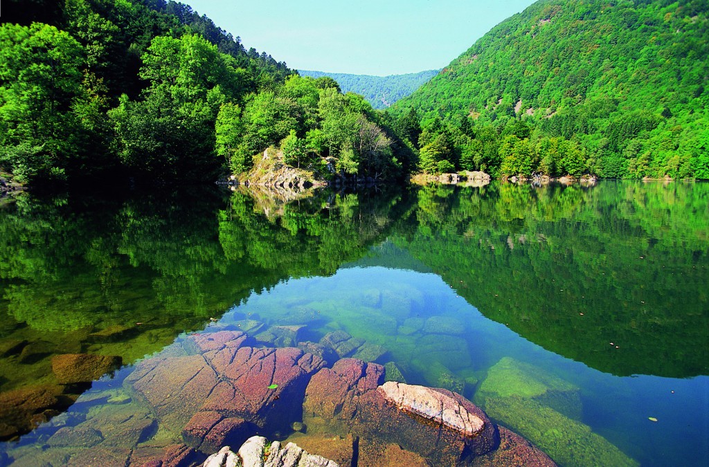 Alsace - Lac d'Alfeld © Bernard NAEGELEN